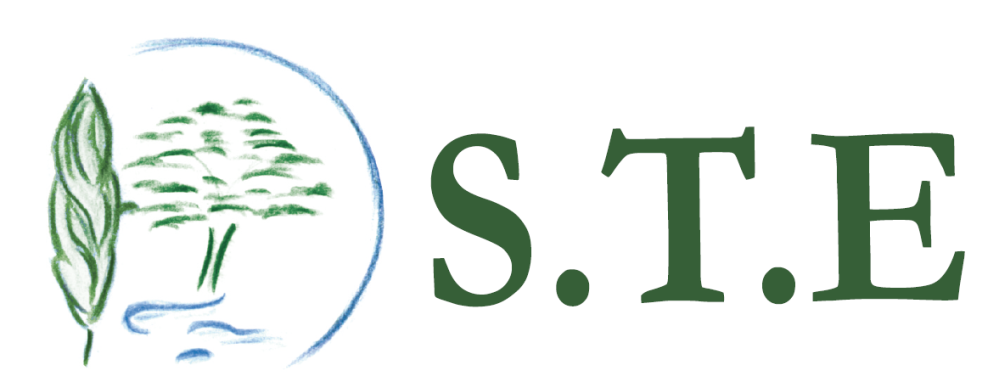 Logo STE